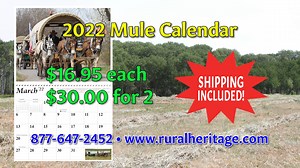 The Tri-State Antique engine and Threshers Show Grounds in Bird City, Kansas was the site of a wonderful plow day. This still photo is your January 2022 Mule Calendar subject. Larry has a beautiful team of black mules. The setting was perfect! Get your caleandars today https://www.mischka.com/shop/home.php?cat=248 | Rural Heritage Magazine