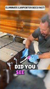 Carpenter Bees GONE FAST 🐝 (Fuse Foam Works!)