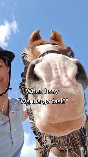 Pony Speedy Gonzales Galloping at High Speed