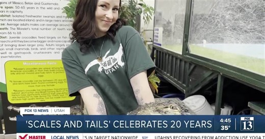 Utah business celebrates two decades of showcasing reptiles, birds and bugs