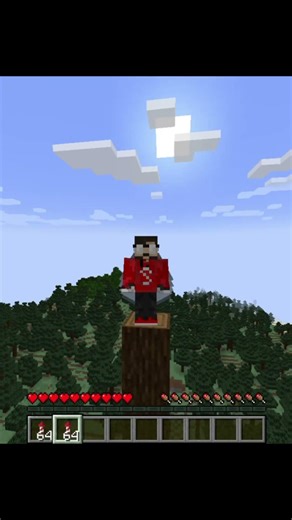 How i flies elytra in caves..😂✔