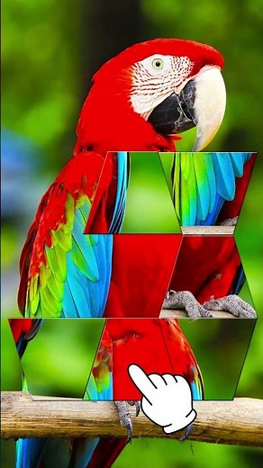 Shape Sort-jigsaw puzzle