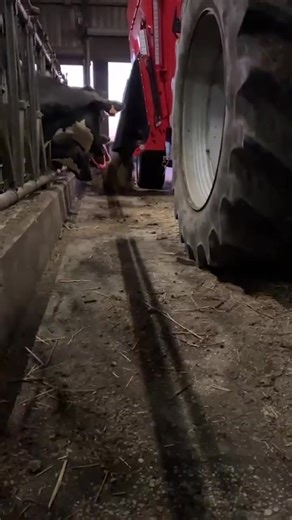 La mélangeuse 𝐏𝐑𝐎𝐅𝐈𝐋𝐄 𝐏𝐋𝐔𝐒 𝟐𝟎.𝟐 𝐃𝐒 : Une solution innovante pour une alimentation optimisée 😍 La 𝐏𝐑𝐎𝐅𝐈𝐋𝐄 𝐏𝐋𝐔𝐒 𝟐𝟎.𝟐 𝐃𝐒 est conçue pour offrir une qualité de recoupe exceptionnelle et une optimisation de l'aliment. Grâce à sa technologie avancée, elle garantit une découpe précise des fourrages, permettant une meilleure assimilation des nutriments par les animaux 👌 Plus d'info 👉️ https://urlr.me/Dscuh2 Merci à Avenir Motoculture et aux clients pour cette mise en r