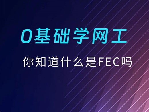 你知道什么是FEC吗