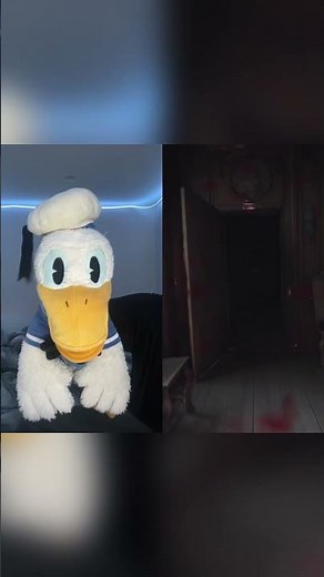 Donald Ducc Doesn’t Like Sonic