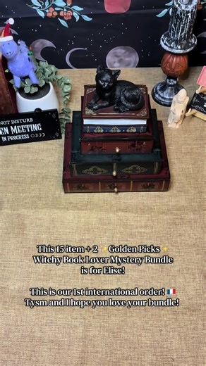 Witchy Book Lover Mystery Bundle for Elise