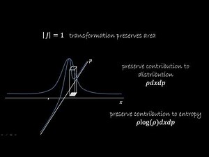 Understanding Hamiltonian mechanics: (4) Information Theory