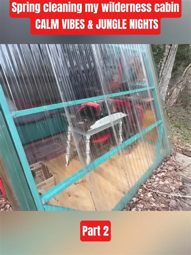Spring Cleaning My Wilderness Cabin: Calm Vibes & Jungle Nights