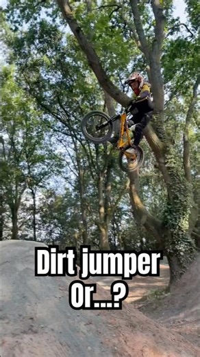 What's more fun to ride?