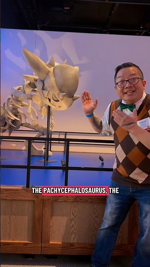 Pokemon Fossil Exhibit at the Field Museum #paleontology #pokemon #dinosaur #fieldmuseumpartner