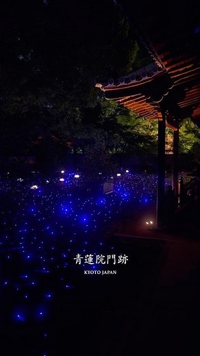 今年だけの幻想的な京都のライトアップが始まります！A magical Kyoto illumination event is about to begin!