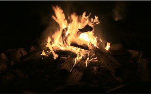 [搬]ASMR·自然音（熊熊燃烧的篝火、蝉鸣、嘎吱作响的树叶）——Caroline ASMR