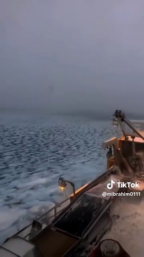 سورة ال اعلي@Islamic-1 @Islamic-1 @Islamic-1 @Islamic-1 #القران_الكريم #quran #islamic