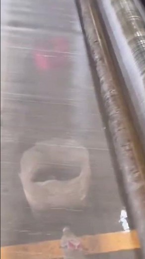 3 M wide insect-proof net.