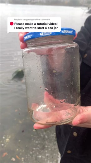 Creating Your Own Ecosystem in a Jar: A Step-by-Step Guide