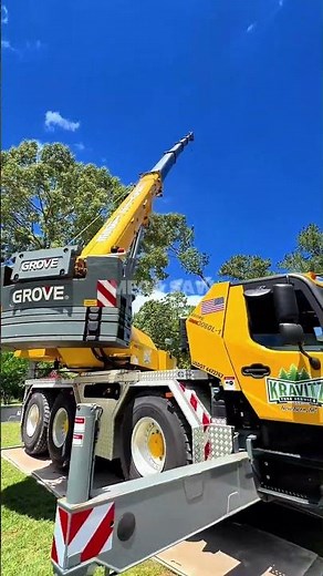 Insane Tree Removal with a Massive Crane! 🌳🏗️