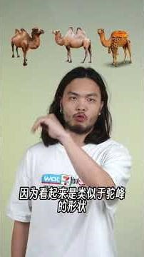 iPhone 的P为什么是大写的？ #iPhone #数码