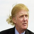 Trump Hair