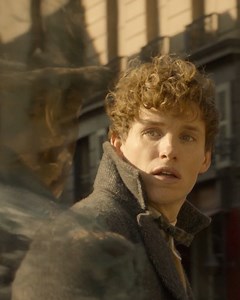 2.3M views · 50K reactions | When in doubt, follow the feather 襁 | Harry Potter | Facebook