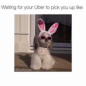 28K views · 695 reactions | Cloud Nine on Reels | Facebook