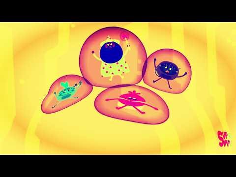 Super Simple Songs What Now Bumble Nums? Intro Logo Sponsored By Klasky Csupo 2001 Effects