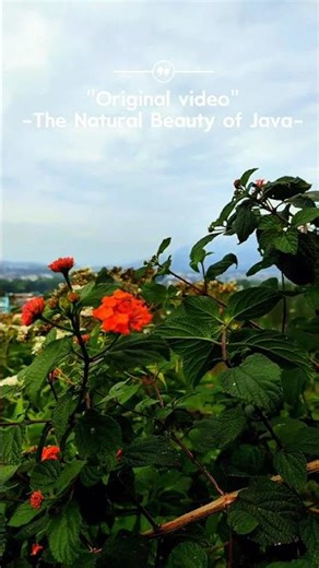 Natural Beauty of Java #OriginalVideo #BeautyOfJava #NaturalScenery #JavaIsland #NatureShorts