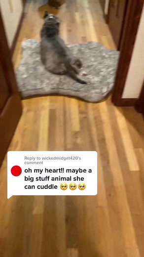 109K views · 3.3K reactions | The ending. 梁沈 | : @hikingblind | #cuddleclones #customstuffedanimal #dog #dogs #dogsoffacebook #petlover #giftsforpetlover #doglover #cuteanimals #rainbowbridge #petloss #petmemorial #customersmostloved #sad | Cuddle Clones | Facebook