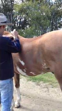 Equi-Release Pro Demonstrated