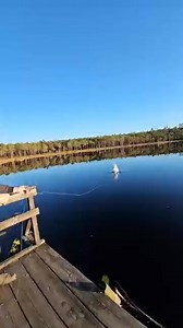 Pesca de lago | The Search King