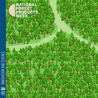 7.8K views · 91 reactions | Sustainably harvesting wood is an important part of forest management, and is good for forests and good for local economies. Commercial thinning—when loggers use a management plan to remove certain trees from a forest—reduces wildfire risks, promotes healthy forest stands, and creates wildlife habitat while also providing the raw material to make valuable wood products. #NationalForestProductsWeek | U.S. Forest Service | Facebook