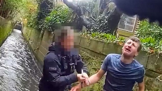 Repeat offender screams in pain as he is tackled by Bowser the police dog