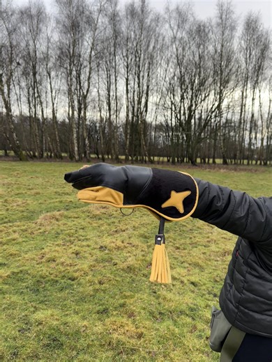 Improving Free Flight Techniques with Blaze the Harris Hawk