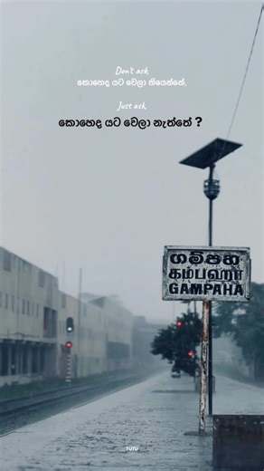 thinethhh > 🐍 on Instagram: "පරිස්සමෙන් හැමෝම ! ❤️ #srilanka🇱🇰 #viral #foryou #fyp #reels"