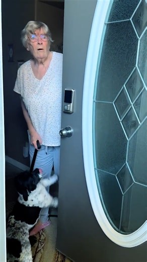 Charlie Rocket on Reels