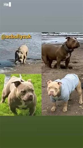 Antz Grant (@antz.grant)’s videos with original sound - Antz Grant