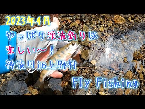 【フライフィッシング】やっぱり渓流釣りは楽しいです！神流川in上野村