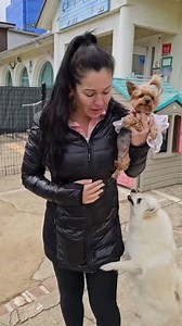 3.7K reactions · 418 comments | What would you do if you visited a...