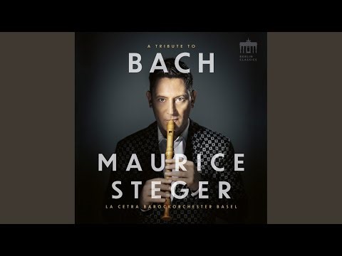 Concerto in D Major for recorder, strings & b.C., BWV 1053 (Arr. Sebastian Wienand) : I. Allegro