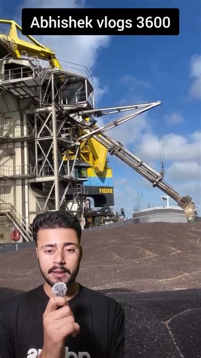 Mustard Export Process 2026: Impact on Market Prices & Future Trends