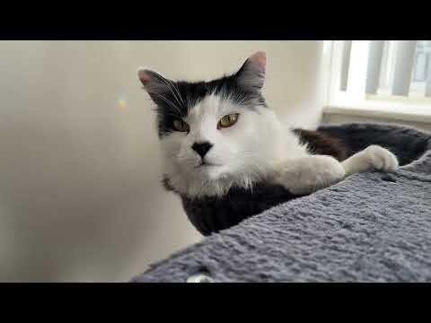 Jack's sense of smell returning after his shots