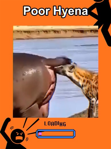 Exploring Poor Hyena: A Unique Animation Experience