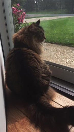 Casey is enjoying the view