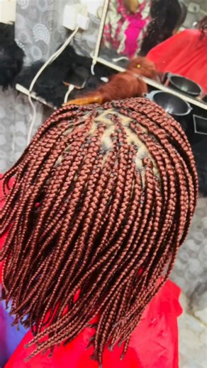 Expert Hair Care Tips from Risa in Brazil