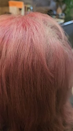 My beautiful friend Candi wanted to transition out of her blunt root growout / color touch up every 6 weeks to a more blended growout with her natural Grey. ❣️ Her inspiration is Drew Barrymores new color . The natural platinum Grey. We weren't able to get her there in one session . But im shocked at how light we were able to get her . 💫 | Chelsea Zacher