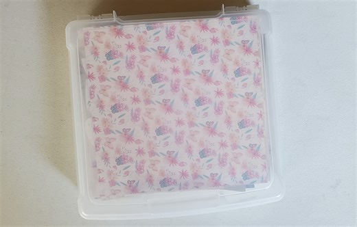 Watch IRIS Project and Scrapbook Case, Holds 12" x 12" Paper on Amazon Live