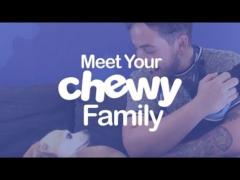 Chewy Customer Service Stories