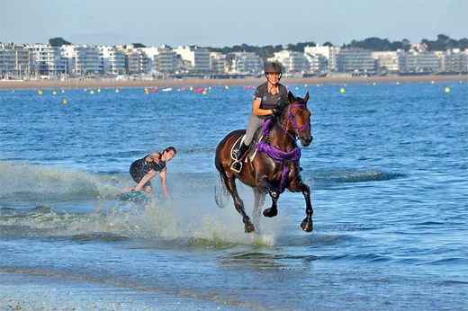 Horse surfing: the extreme equestrian water sport