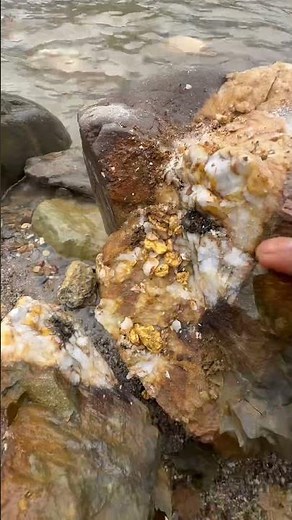 gold prospecting for beginner ✅🧽