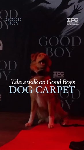 The Screening Room on Reels