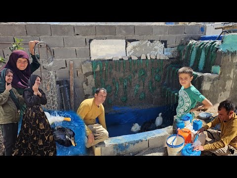 Chasing Water: The Joyful Life of Nomadic Families and Their Ducks in the Heart of Nature 🌊🦆